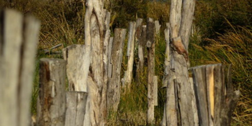 Nedjeljni đir do Parka prirode Vransko jezero i vidikovca Kamenjak, foto: Iva Perinčić Nedjeljni đir do Parka prirode Vransko jezero i vidikovca Kamenjak, foto: Iva Perinčić