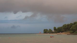 Image 1194647 (auto)