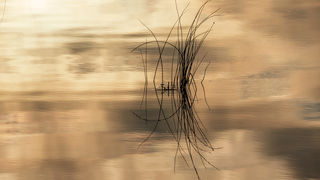 Čarobno jutro na Vranskom jezeru Čarobno jutro na Vranskom jezeru