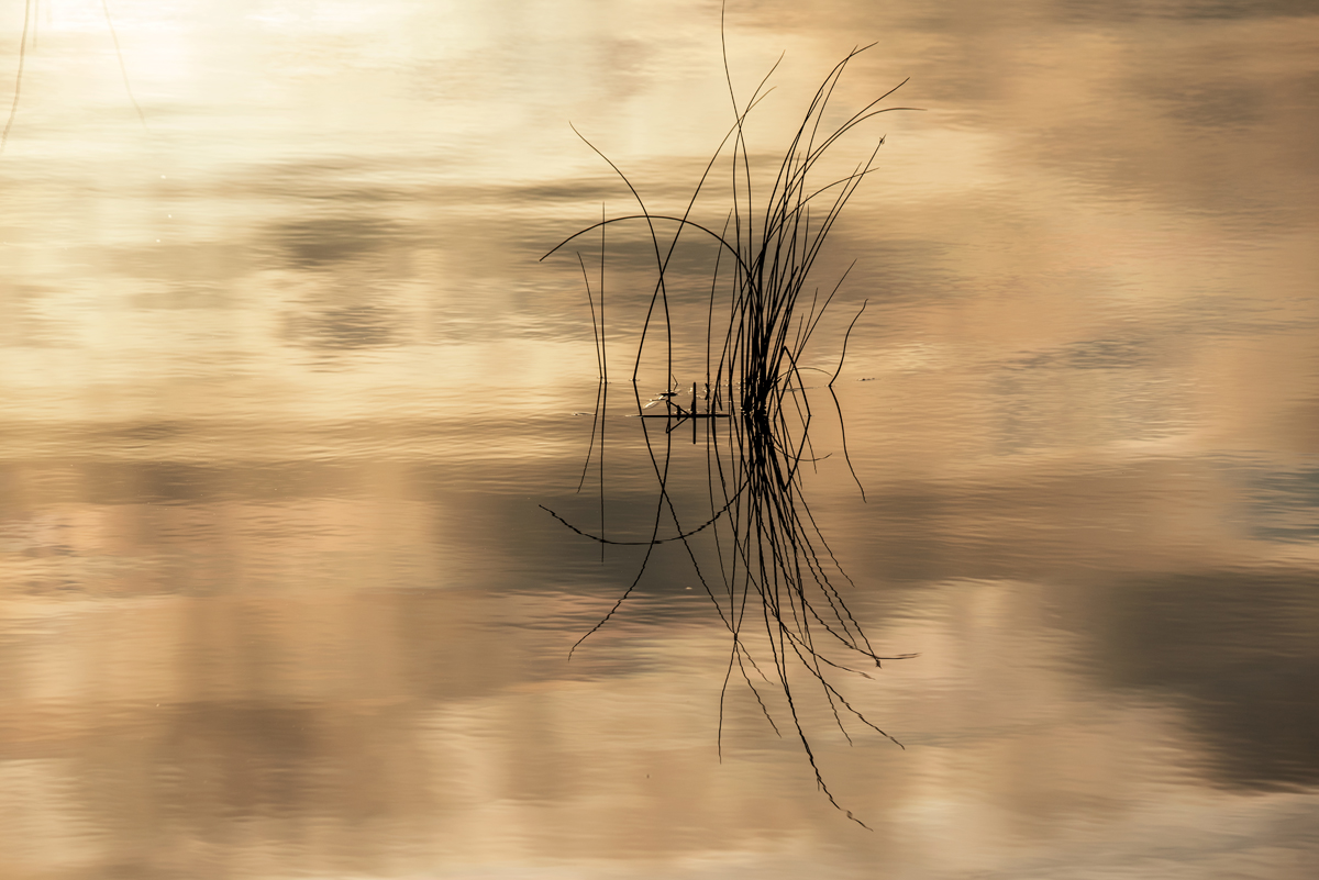 Čarobno jutro na Vranskom jezeru Čarobno jutro na Vranskom jezeru