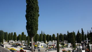 Blagdan Svih Svetih na groblju Belafuža 1. studenog 2011, Foto: Mladen Malik Blagdan Svih Svetih na groblju Belafuža 1. studenog 2011, Foto: Mladen Malik