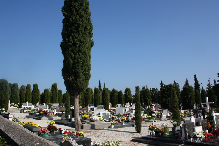 Blagdan Svih Svetih na groblju Belafuža 1. studenog 2011, Foto: Mladen Malik Blagdan Svih Svetih na groblju Belafuža 1. studenog 2011, Foto: Mladen Malik