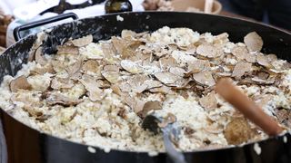 Završen 1. Festival rižota @ Skradin