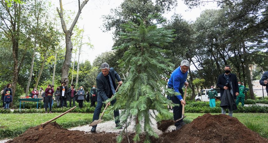 eko dani australski stribor bozidar longin eko dani australski stribor bozidar longin