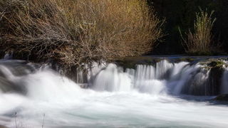 OLYMPUS DIGITAL CAMERA OLYMPUS DIGITAL CAMERA