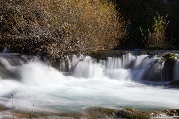 OLYMPUS DIGITAL CAMERA OLYMPUS DIGITAL CAMERA