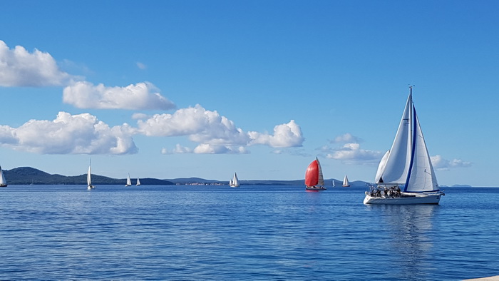 Zadarska Koka 2016. 22. listopada 2016. Foto: Mladen Malik Zadarska Koka 2016. 22. listopada 2016. Foto: Mladen Malik