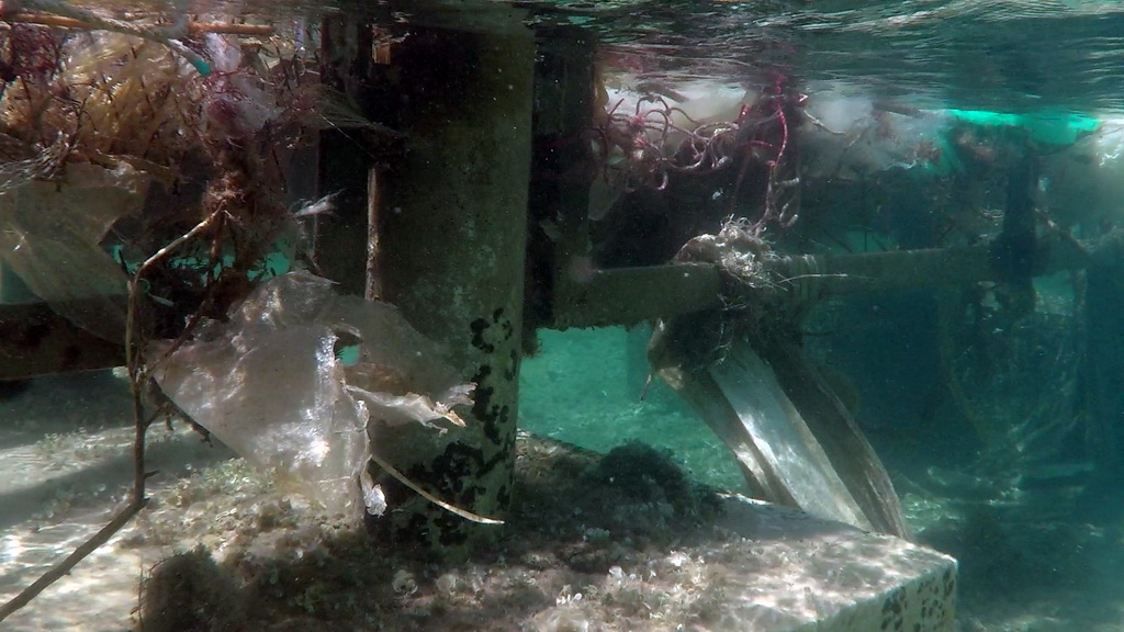 Greenpeace upozorava na problem bacanje plastike u more Greenpeace upozorava na problem bacanje plastike u more