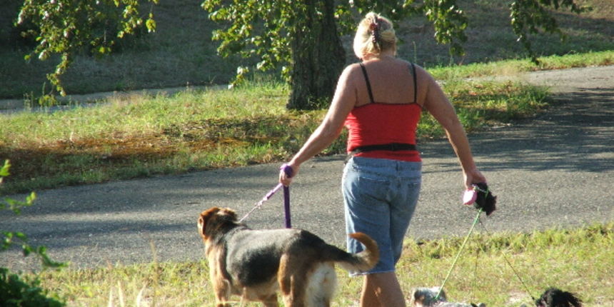 Psi šetnja Psi šetnja