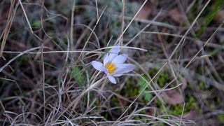 Ugodno prijepodne uz tok rijeke Karešnice i stare zapuštene mlinove, foto: Darko Belančić