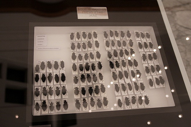 Izlozba A sto ako vam se svidjam? u Gradskoj lozi Izlozba A sto ako vam se svidjam? u Gradskoj lozi