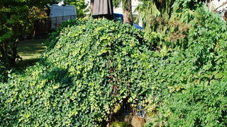 Zadarski vjernici u Lourdesu