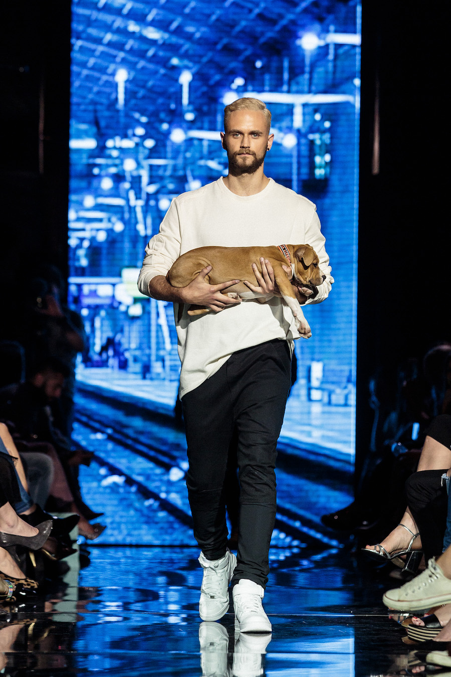 Toyota Fashion week, treća večer