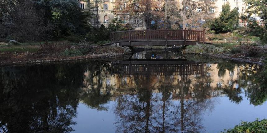 Obilježava se tjedan botaničkih vrtova, foto: pixsell.hr Obilježava se tjedan botaničkih vrtova, foto: pixsell.hr