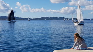 Zadarska Koka 2016. 22. listopada 2016. Foto: Mladen Malik Zadarska Koka 2016. 22. listopada 2016. Foto: Mladen Malik