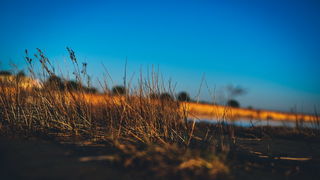 Večernji đir po Sabunikama i Kolovarama. Foto: Iva Perinčić