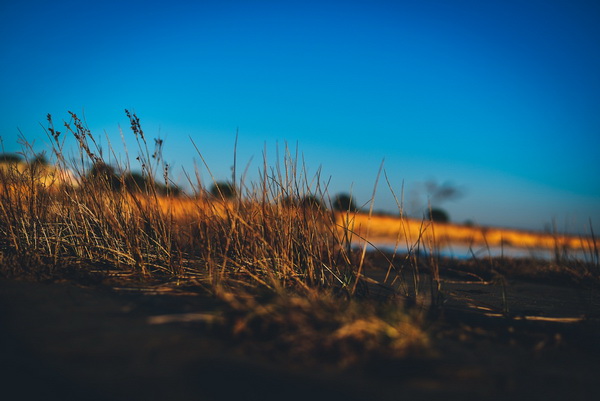 Večernji đir po Sabunikama i Kolovarama. Foto: Iva Perinčić