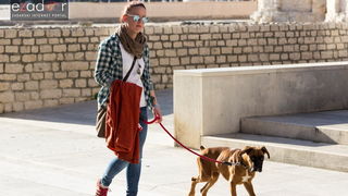 Đir po gradu 14. veljače 2017.