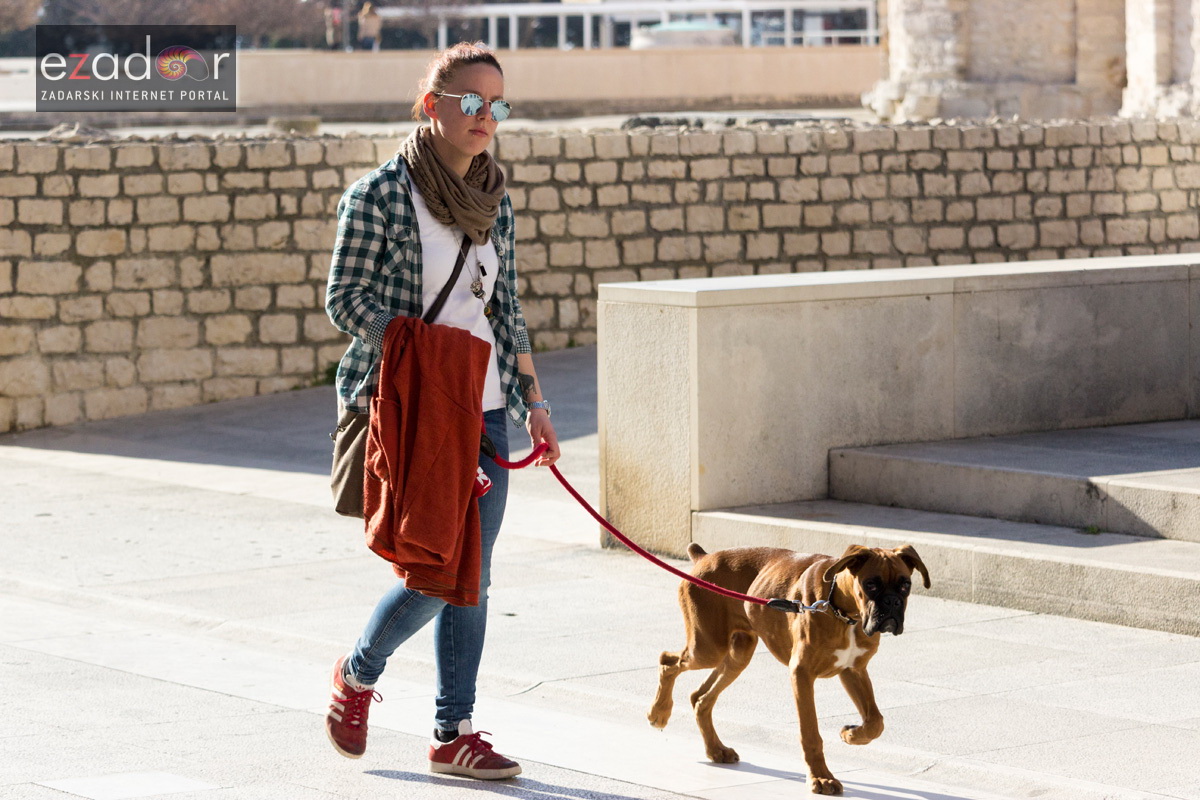 Đir po gradu 14. veljače 2017.