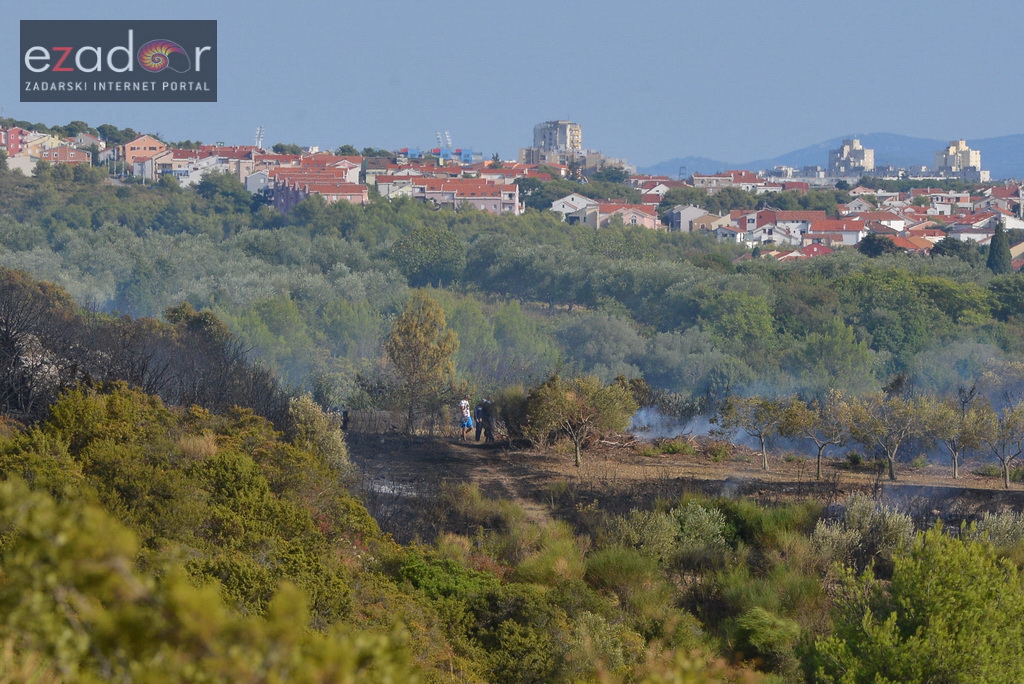 Zračne i kopnene vatrogasne snage u rekordnom roku lokalizirale požar između Dikla i Kožina