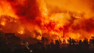 Žrnovnica Žrnovnica