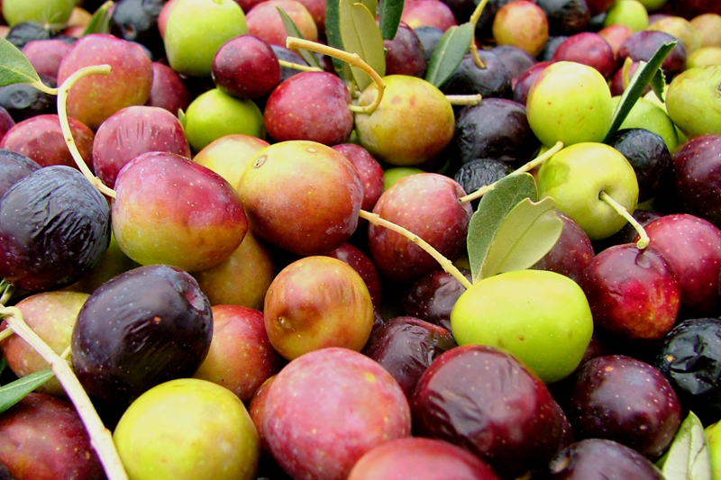 Image 1191197 (auto)