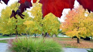Prekrasne boje bjelovarske jeseni, Photo: Damir Špehar/PIXSELL