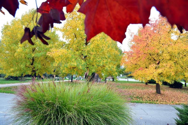 Prekrasne boje bjelovarske jeseni, Photo: Damir Špehar/PIXSELL