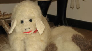 Crna ovca u Baški na otoku Krku Crna ovca u Baški na otoku Krku