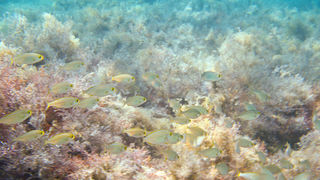 OLYMPUS DIGITAL CAMERA OLYMPUS DIGITAL CAMERA