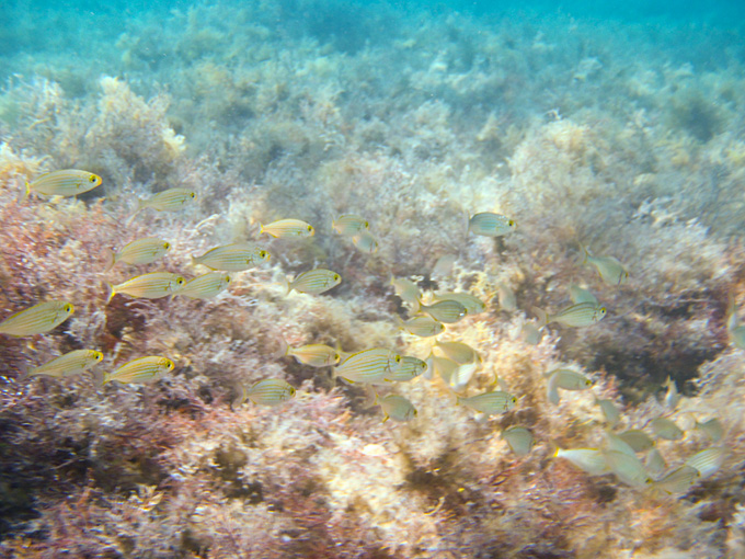 OLYMPUS DIGITAL CAMERA OLYMPUS DIGITAL CAMERA