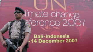 Image 1195805 (auto) Image 1195805 (auto)