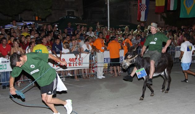 Tisno: 6. Međunarona “Trka tovarov”, Foto: Edin Kadić