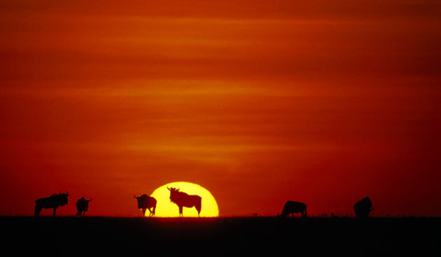 Tanzanija (Foto: nationalgeographic.com)