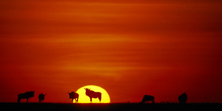 Tanzanija (Foto: nationalgeographic.com)