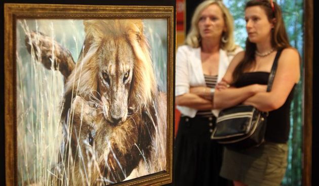 24.07.2013., Zagreb – Avenue Mall Zagreb, svecano otvorenje izlozbe 50 najboljih fotografija National Geographica.Photo: Goran Jakus/PIXSELL
