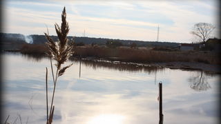 Đir uz Vransko jezero, Foto: Iva Perinić Đir uz Vransko jezero, Foto: Iva Perinić