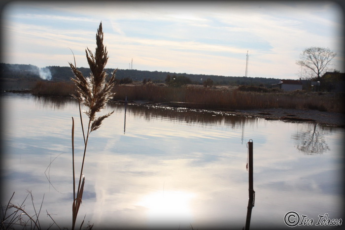 Đir uz Vransko jezero, Foto: Iva Perinić Đir uz Vransko jezero, Foto: Iva Perinić
