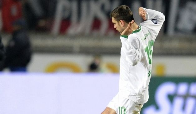 Zvjezdan Misimovic (Reuters)