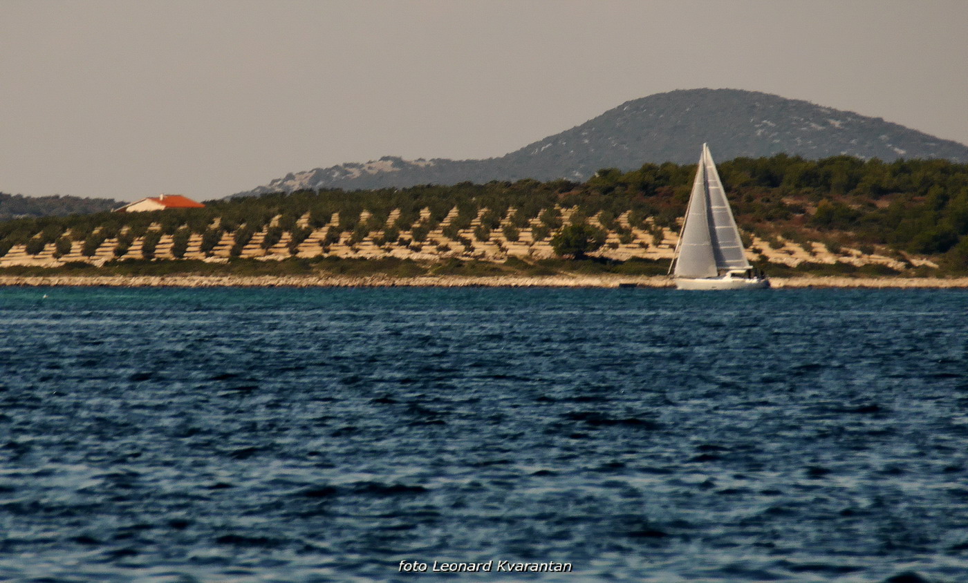 20. Rotary regata u organizaciji RC Zadar 20. Rotary regata u organizaciji RC Zadar