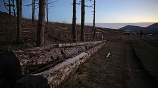 16.03.2014., Juzni Velebit – Topljenje snijega na Juznom Velebitu i procvjetani prvi planinski cvjetovi u ranom proljecu najavljuju skorasnje toplije vrijeme. Photo: Filip Brala/PIXSELL Autor Filip Brala/PIXSELL Ključne riječi rekreacija, planina, pro 16.03.2014., Juzni Velebit – Topljenje snijega na Juznom Velebitu i procvjetani prvi planinski cvjetovi u ranom proljecu najavljuju skorasnje toplije vrijeme. Photo: Filip Brala/PIXSELL Autor Filip Brala/PIXSELL Ključne riječi rekreacija, planina, pro