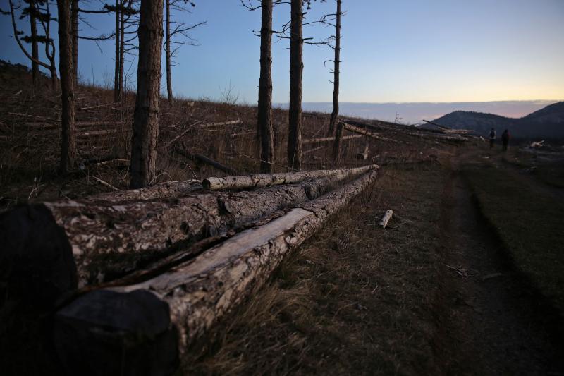 16.03.2014., Juzni Velebit – Topljenje snijega na Juznom Velebitu i procvjetani prvi planinski cvjetovi u ranom proljecu najavljuju skorasnje toplije vrijeme. Photo: Filip Brala/PIXSELL Autor Filip Brala/PIXSELL Ključne riječi rekreacija, planina, pro 16.03.2014., Juzni Velebit – Topljenje snijega na Juznom Velebitu i procvjetani prvi planinski cvjetovi u ranom proljecu najavljuju skorasnje toplije vrijeme. Photo: Filip Brala/PIXSELL Autor Filip Brala/PIXSELL Ključne riječi rekreacija, planina, pro