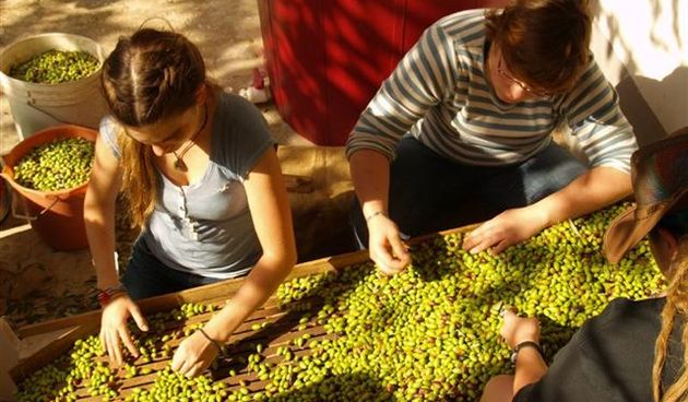 Volonteri u Poljani (Foto: ezadar.hr)