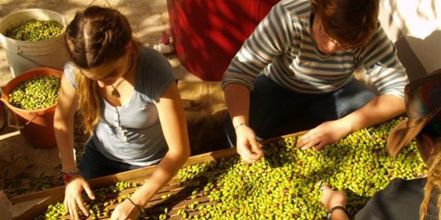 Volonteri u Poljani (Foto: ezadar.hr)