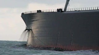 Image 1196787 (auto) Image 1196787 (auto)