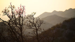 Đir do Libinja 9. travnja 2012. (foto:Saša Čuka) Đir do Libinja 9. travnja 2012. (foto:Saša Čuka)