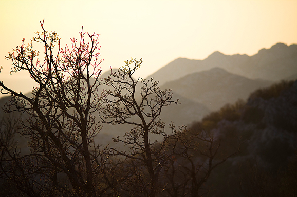 Đir do Libinja 9. travnja 2012. (foto:Saša Čuka) Đir do Libinja 9. travnja 2012. (foto:Saša Čuka)
