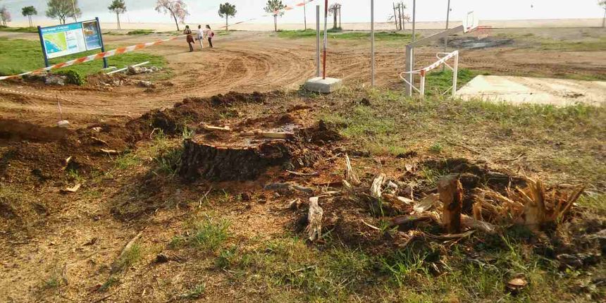 Stop rušenju stabala u Sv. Filipu i Jakovu! Stop rušenju stabala u Sv. Filipu i Jakovu!