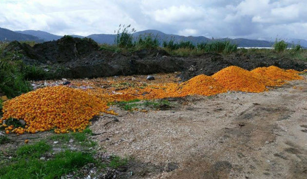 Mandarine, Foto: Duška Mušić/Ana Musa