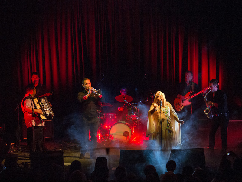 OLYMPUS DIGITAL CAMERA OLYMPUS DIGITAL CAMERA